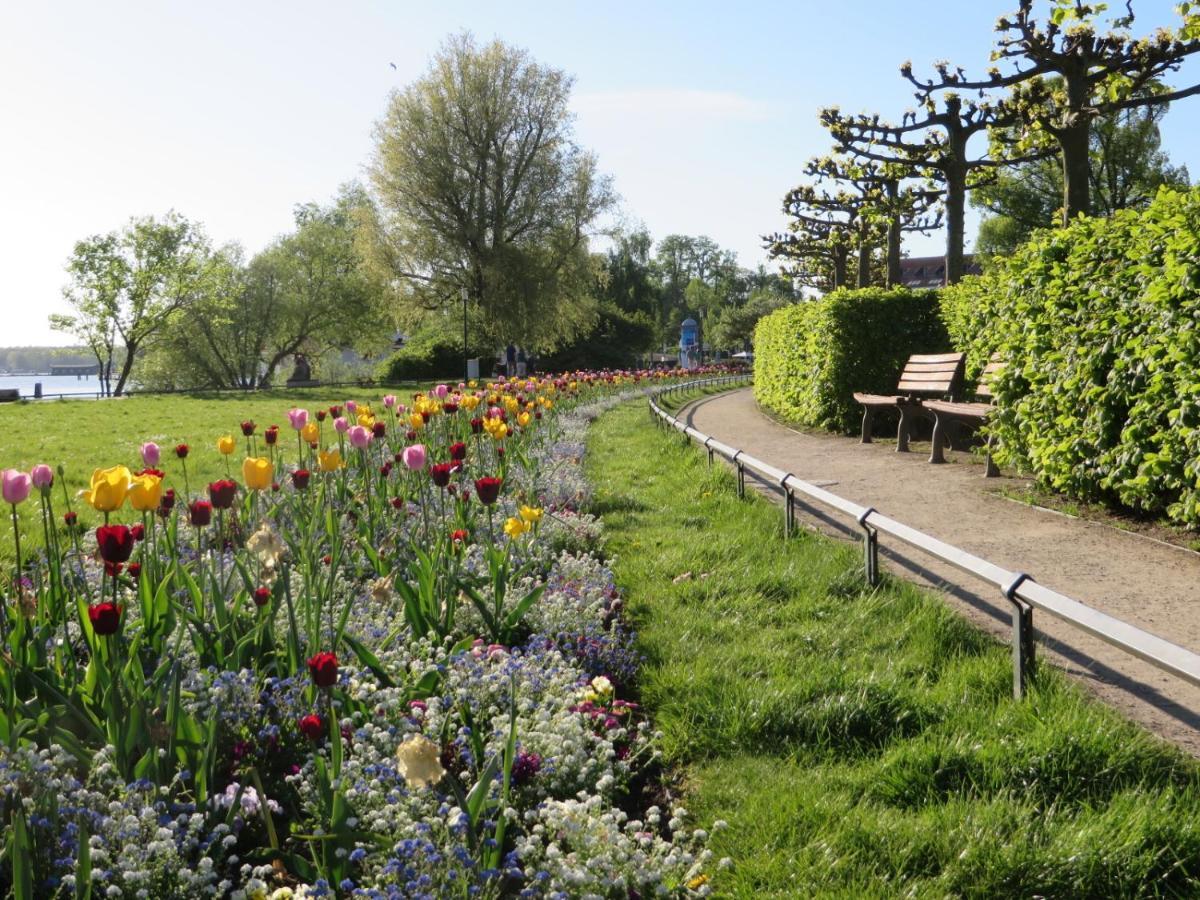Ferienwohnungen "Marie" Mit Terrassen, Inclusive Park- Und Stellplaetze Am Haus, Mueritz-Strand Nur 700M, Altstadt 10Min, Ruhige Lage, Waren  Exterior foto