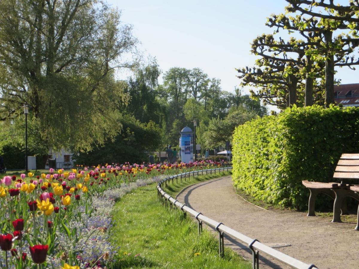Ferienwohnungen "Marie" Mit Terrassen, Inclusive Park- Und Stellplaetze Am Haus, Mueritz-Strand Nur 700M, Altstadt 10Min, Ruhige Lage, Waren  Exterior foto